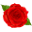 Jrroses.com Icon