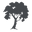 Kate Quinn Organics Icon