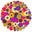 Multitudes Icon