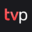TV Player Icon