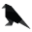 Albatrossclothing.co.uk Icon