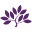 Mulberry Park Silks Icon
