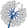 Montessori Services Icon