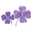 Cloverleafshop.com Icon