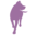 Kanine Records Icon