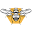Beelovedtrading Icon
