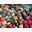 Wholesale Vending Products Icon