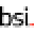 BSI Group Icon