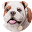 Churchill Home Insurance Icon