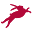 Hall Wines Icon