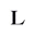 Lanvin Icon