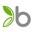 Bambu Home Icon