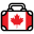 Canadaluggagedepot Icon