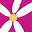 Frangipani Body Products Icon