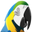 Birdcagesnow.com Icon