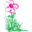 Homelandflorists Icon
