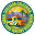 Socalmfva Icon