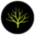 Mystictimber Icon