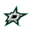Dallas Stars Icon