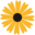 Citylineflorist Icon