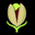 Pronutz Icon
