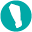 Doc-Development.com Icon