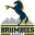 Brumbies Icon