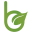 Benetivia Icon