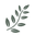 Soydelicious Icon