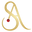 Saeedajmalstores Icon