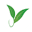 Darjeelingtealovers.com Icon