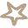Toffeemoon.co.uk Icon