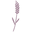 Morning Lavender Icon