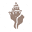 Naterickettsdesign Icon