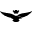Aquila Icon