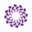 Glowspaseattle Icon