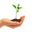 Dobusinesssmarter.com Icon