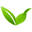 Nature-vitalite Icon