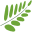 Naturesgrub.co.uk Icon