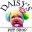 Daisyspetshop.com Icon