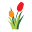 Dutchflowerbulbs.com Icon