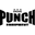 Punch Equipment Icon