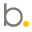 Baur Icon