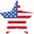 Americanbuiltusa Icon