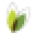 Ecocharlie Icon