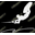 Wakeupsports.com Icon
