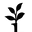 Windowbox.com Icon