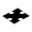Raidlight Icon