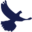 Divine Health Supplements Icon