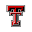 Texastech Icon